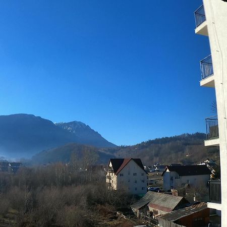Panoramic Residence Zărneşti Exteriör bild