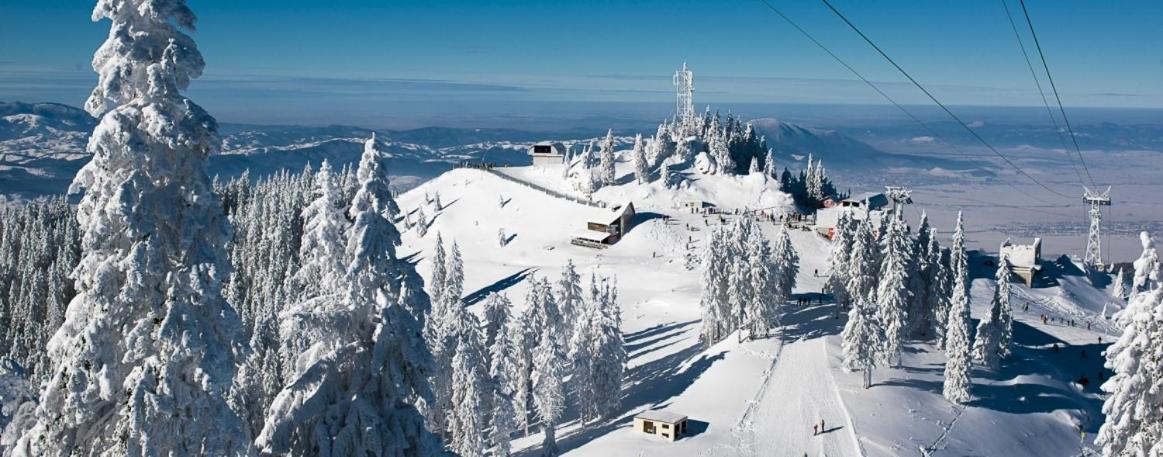 Panoramic Residence Zărneşti Exteriör bild
