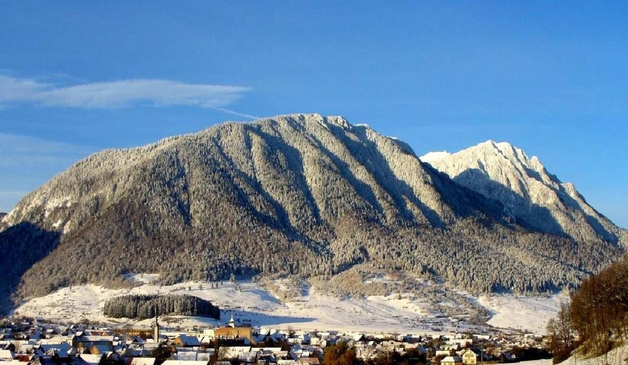 Panoramic Residence Zărneşti Exteriör bild