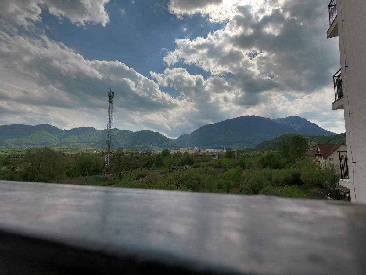 Panoramic Residence Zărneşti Exteriör bild