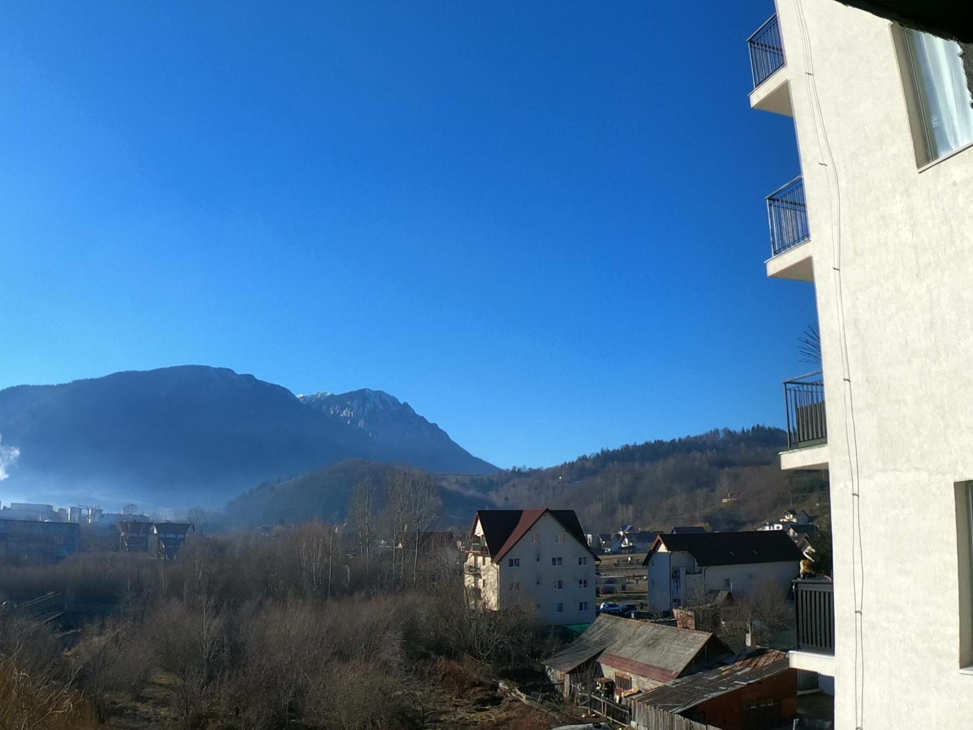 Panoramic Residence Zărneşti Exteriör bild